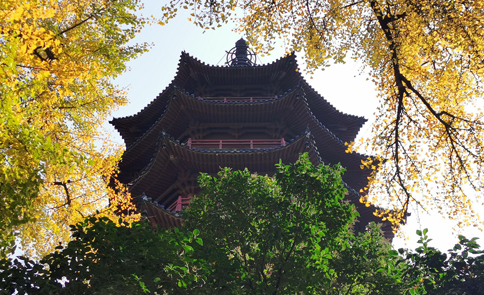 喊孩子好几声不搭理你是怎么回事,喊孩子学习不听怎么办