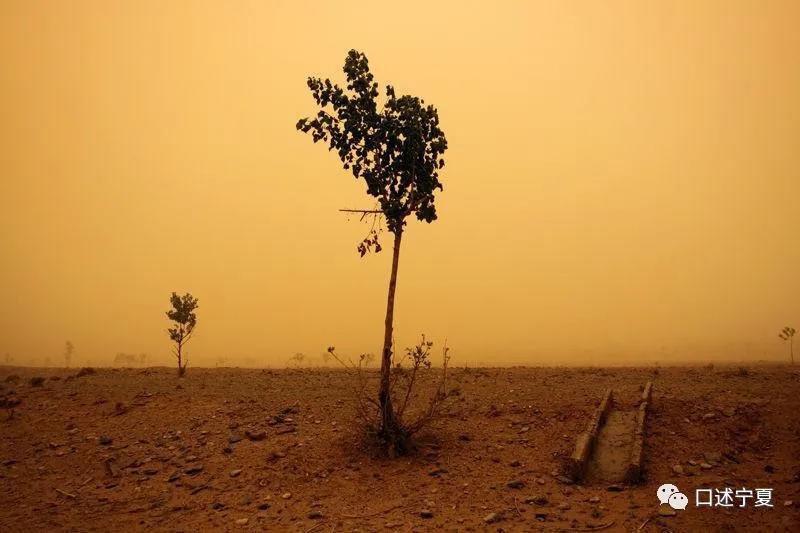 揭秘沙漠地图背后的故事,造成宁夏沙漠化的原因是什么