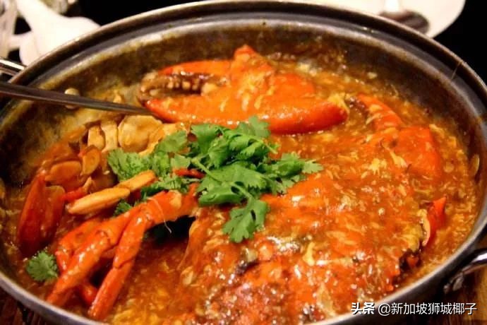 新加坡这些东西千万别带,去新加坡一定要换现金吗