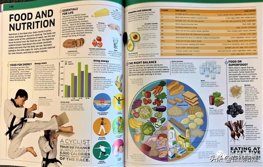 dk知识大百科全套,dk知识大百科书金银版