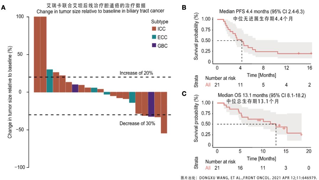 晚期肝内胆管细胞癌免疫治疗,胆管癌免疫治疗最新药物