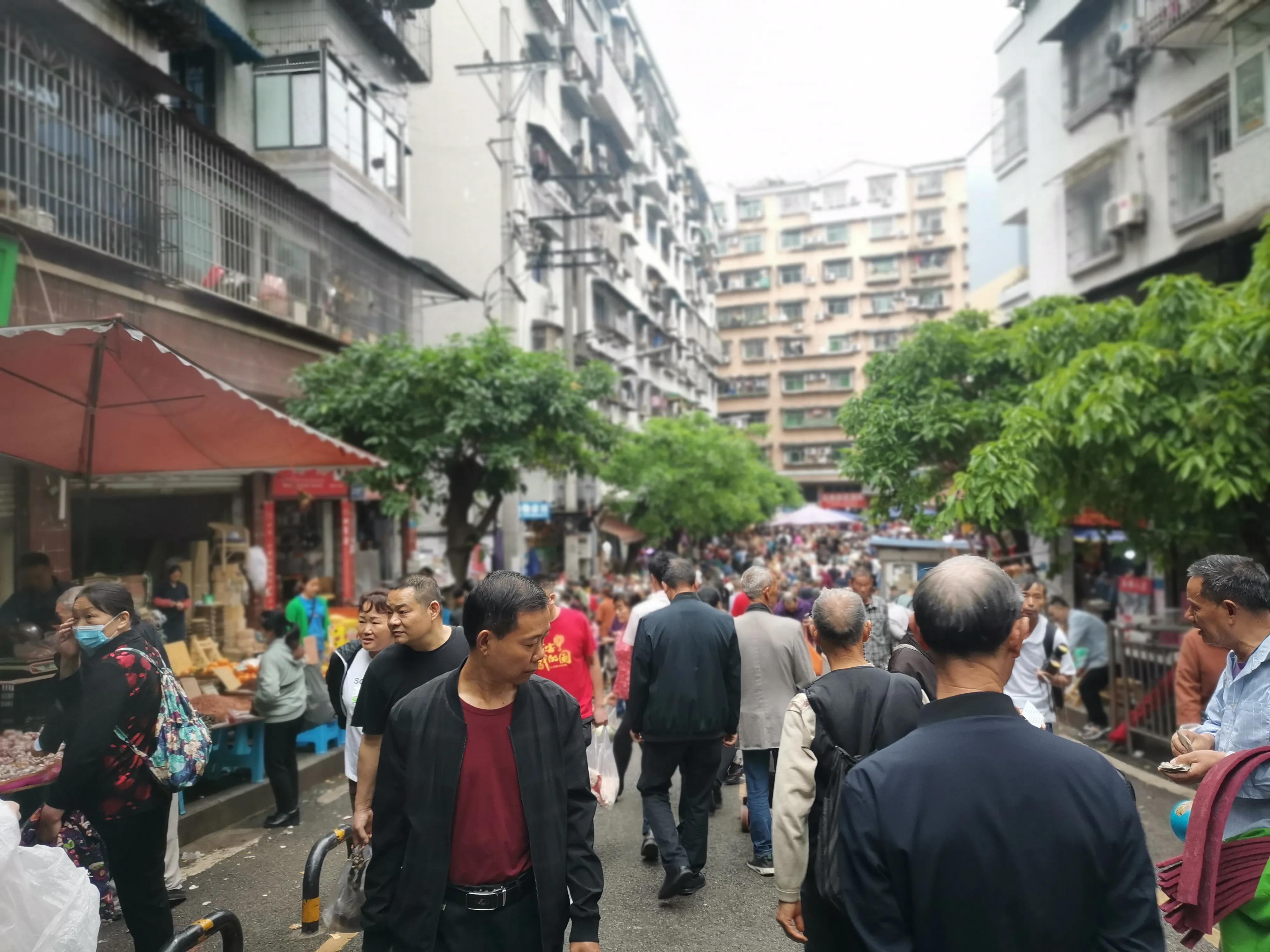 重庆狗儿市场有卖狗的吗,重庆狗儿市场