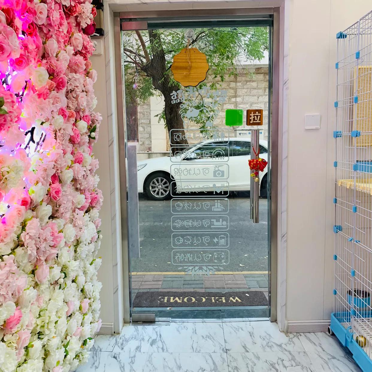 来天津的话都可以去哪玩,小确茶天津路