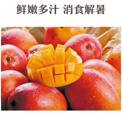 长春生鲜冷链配送,长春蔬果生鲜配送新鲜直达