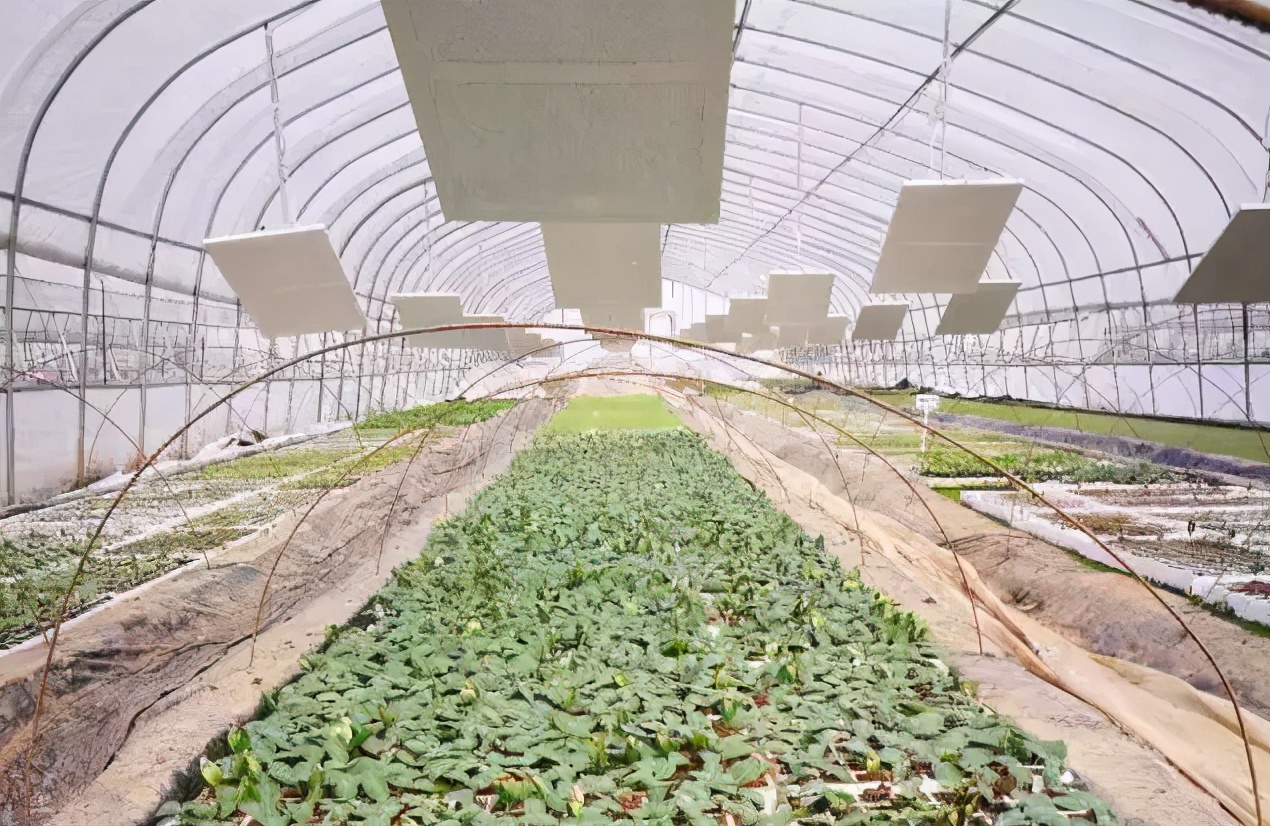 赵猛石墨烯,国家石墨烯联盟赵猛