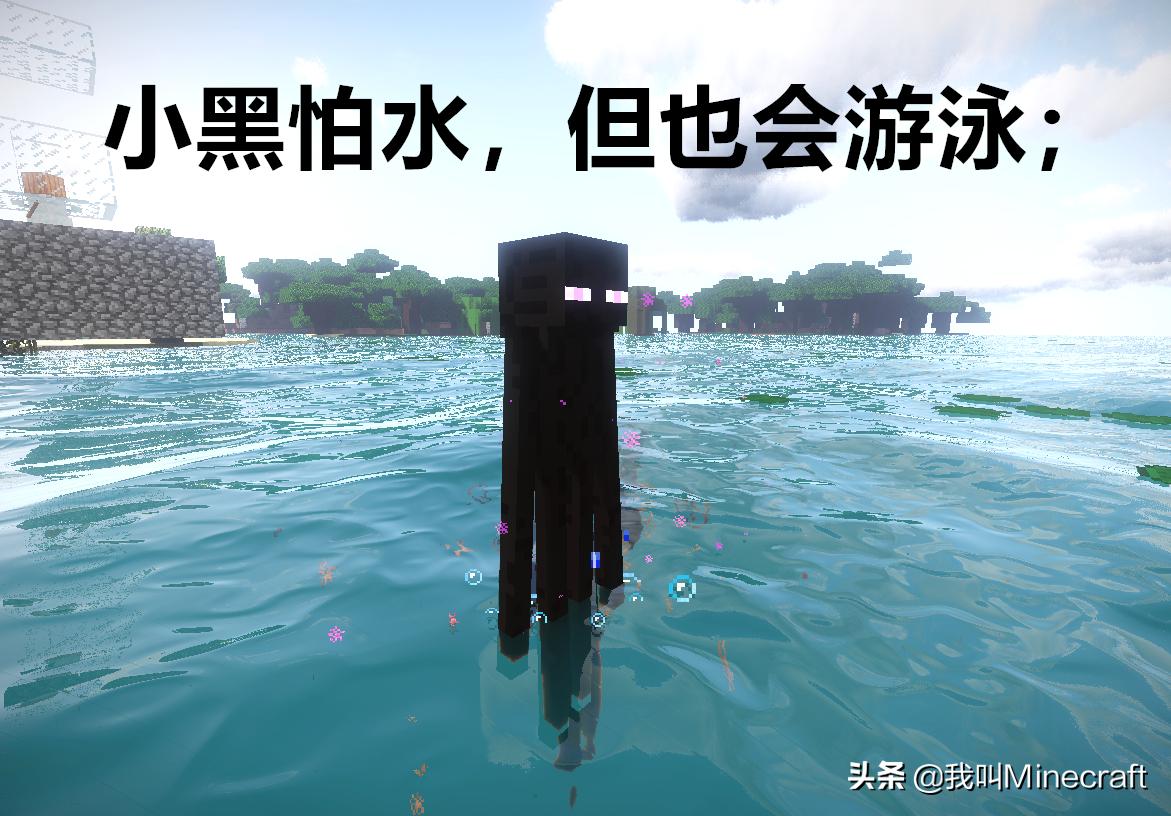 我的世界末影人击杀小黑,我的世界末影人小黑图片