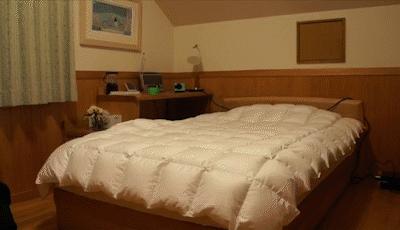 日本樱花除甲醛,日本进口除甲醛品牌