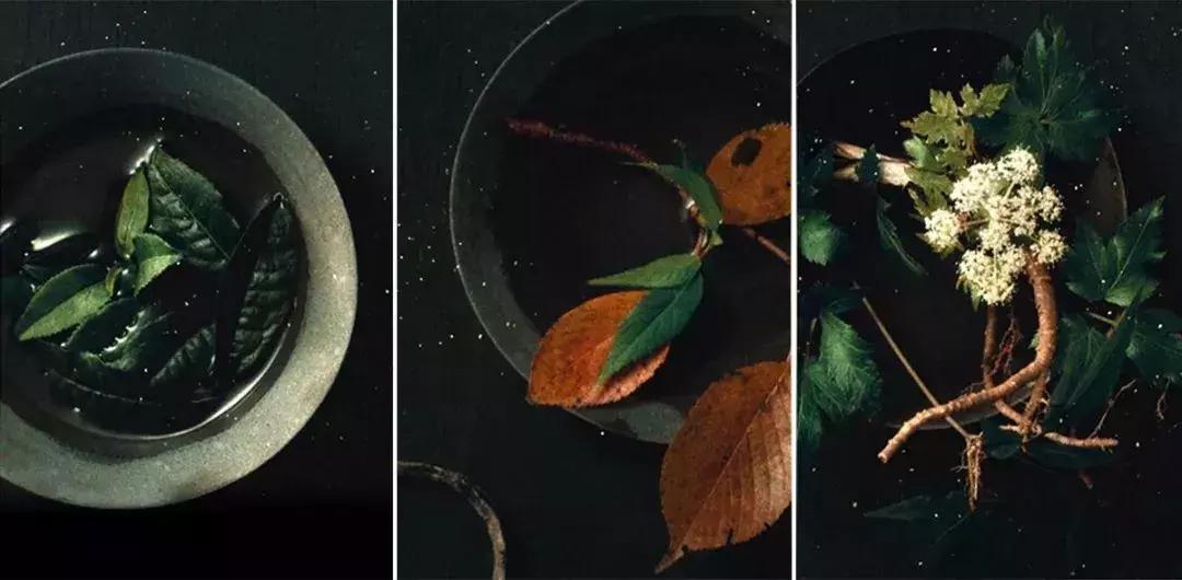 资生堂男士护肤品高端品牌,资生堂爸爸化妆品推荐