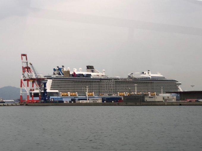 和老人小孩一起旅游,八天七晚豪华游轮旅游