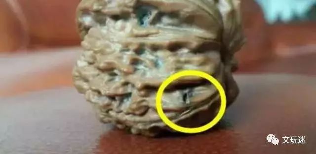 菩提手串长毛发霉有危害,菩提手串长虫子对我们有什么危害