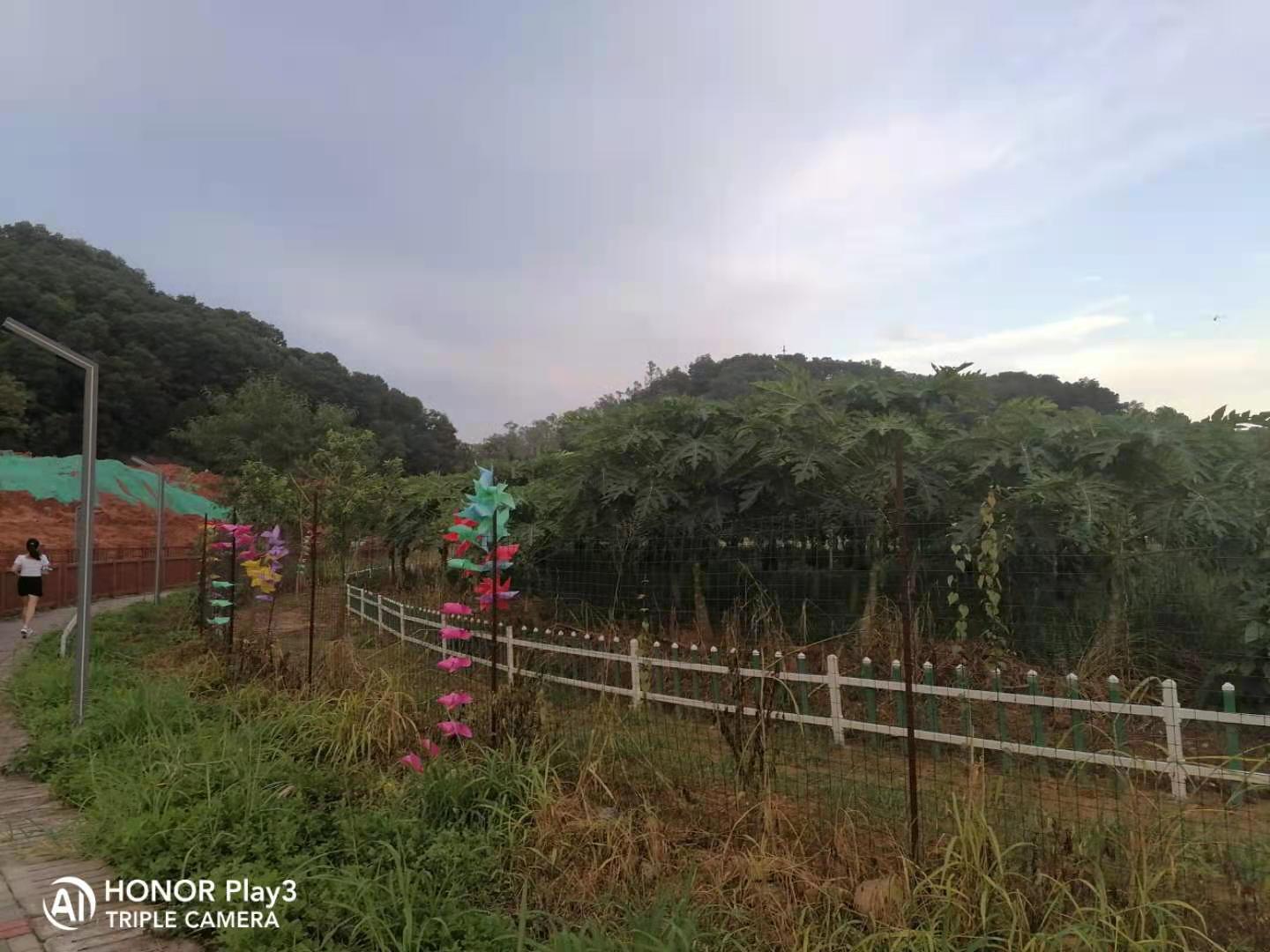 信用卡逾期多少时间会被起诉啊,信用卡逾期20000被起诉的几率大吗