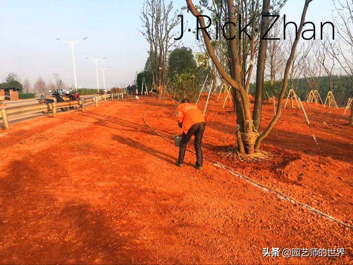 怎样种植草坪技术,果岭草坪的种植养护方法及技巧