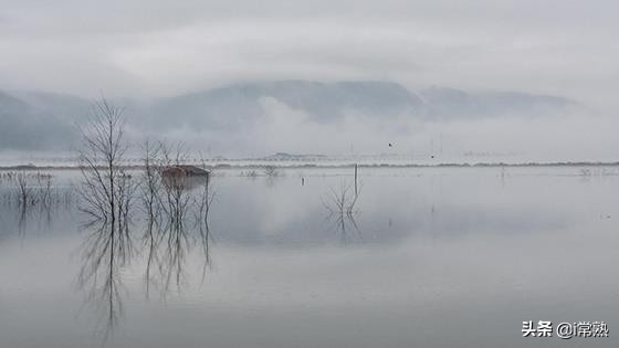 常熟记忆,常熟记忆40年