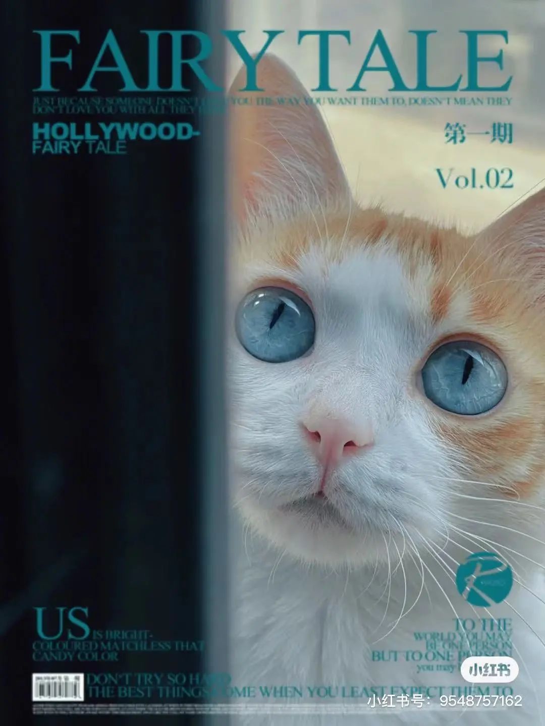 金发碧眼双眼皮！这猫我说一句“橘中最美”不过份吧？