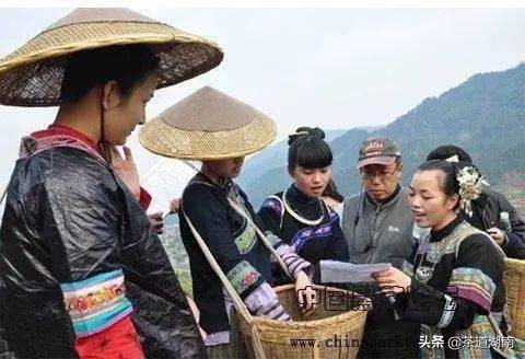 益阳茶文化的故事,安化茶叶历史传说