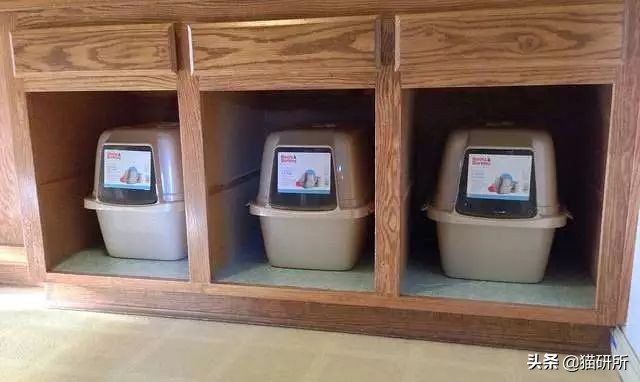 猫砂盆买什么样的最好,猫砂盆选什么的最合适