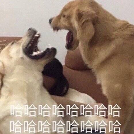 把Nuggets说成Nigger!这解说员直接被开除!太秀了