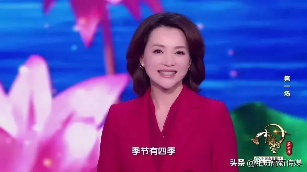 董卿诗词大会经典语录合集,诗词大会董卿经典语录