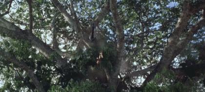 盘点五部天花板战争电影,一部史诗级战争电影场面震撼残酷