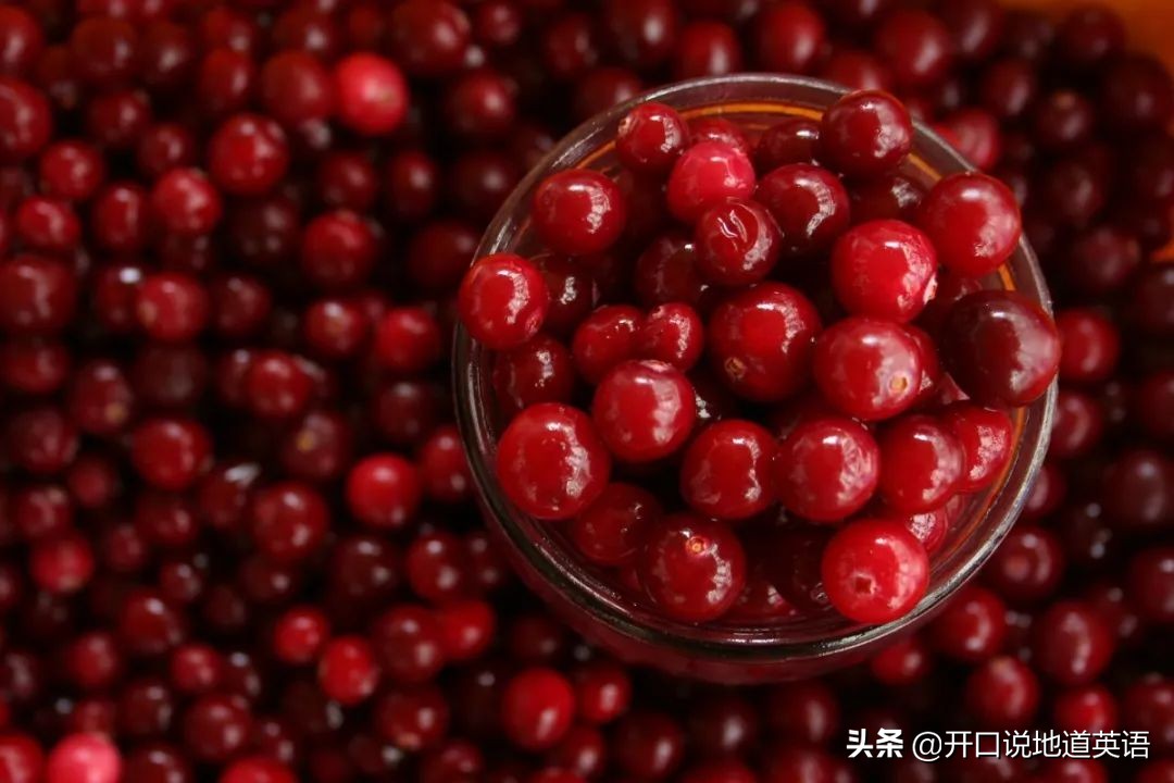 水果英文单词儿童1-2岁,英文水果单词学习0-3岁