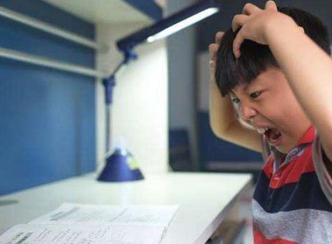 孩子学习有惰性,孩子学习是父母最大担忧
