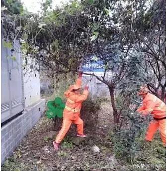 宝安西乡环卫一体化ppp项目,西乡街道环卫一体化