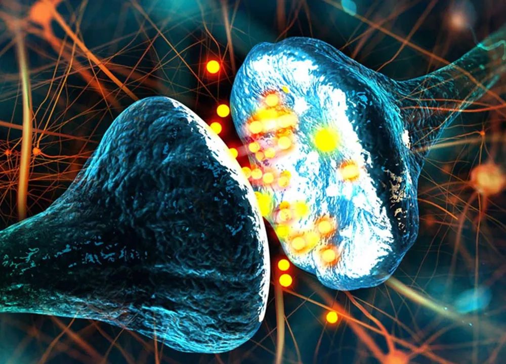 酒精主要影响大脑的哪个部分,酒精对大脑造成的第一个反应