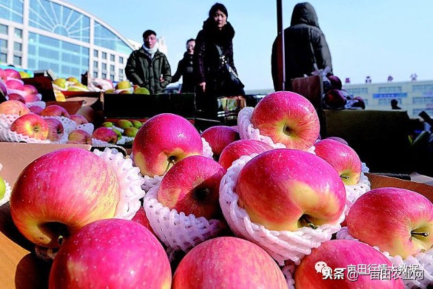 全国今日蔬菜菜价,全国菜价最新消息