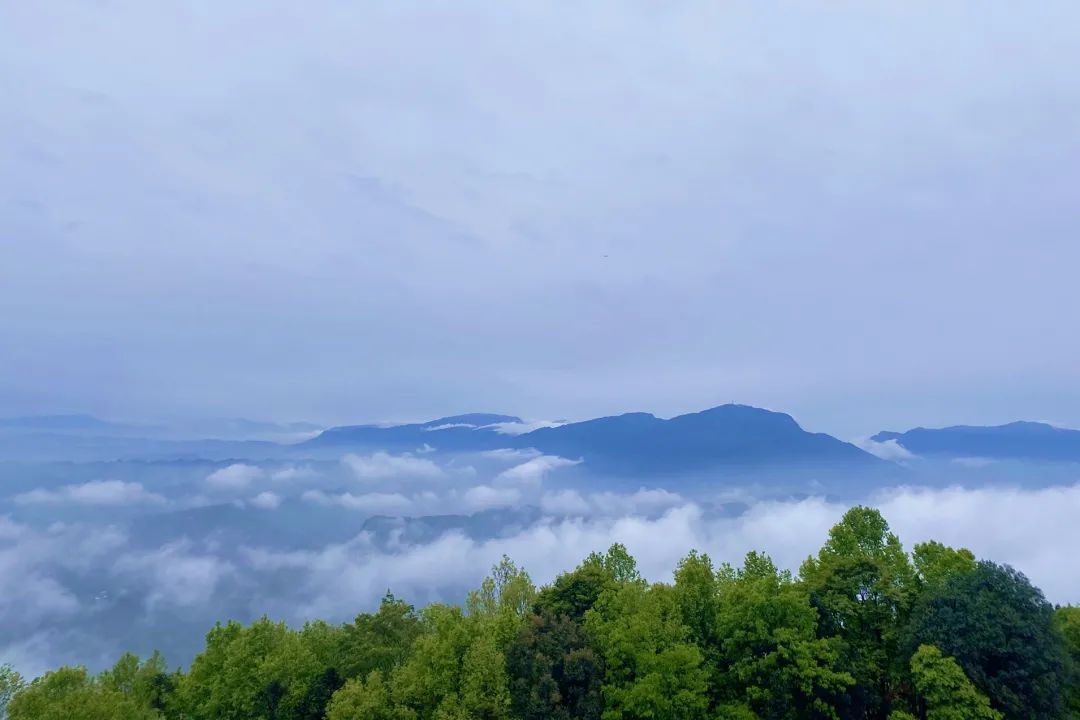 又见蒙顶云海，蒙顶山皇茶大酒店“观海”视野刚刚好！