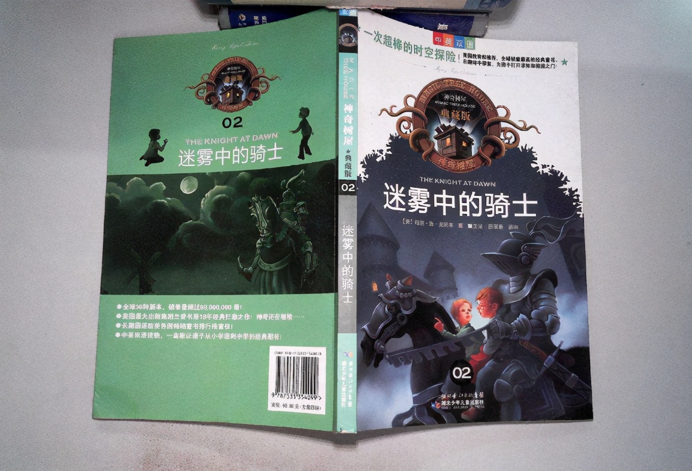 神奇树屋系列丛书推荐,通往魔法世界的树洞神奇树屋
