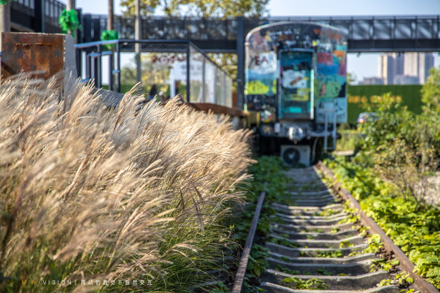 来成都旅游这份攻略实用又好吃,来成都必去必吃的地方