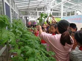 徐汇区好的学校排名,上海健康学院徐汇校区怎么样