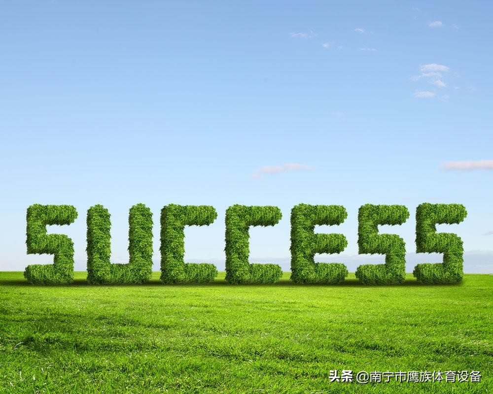 选择人造草坪应该注意什么,哪种人工草坪比较好