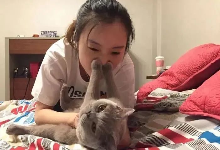 铲屎官请自重图,铲屎官请自重