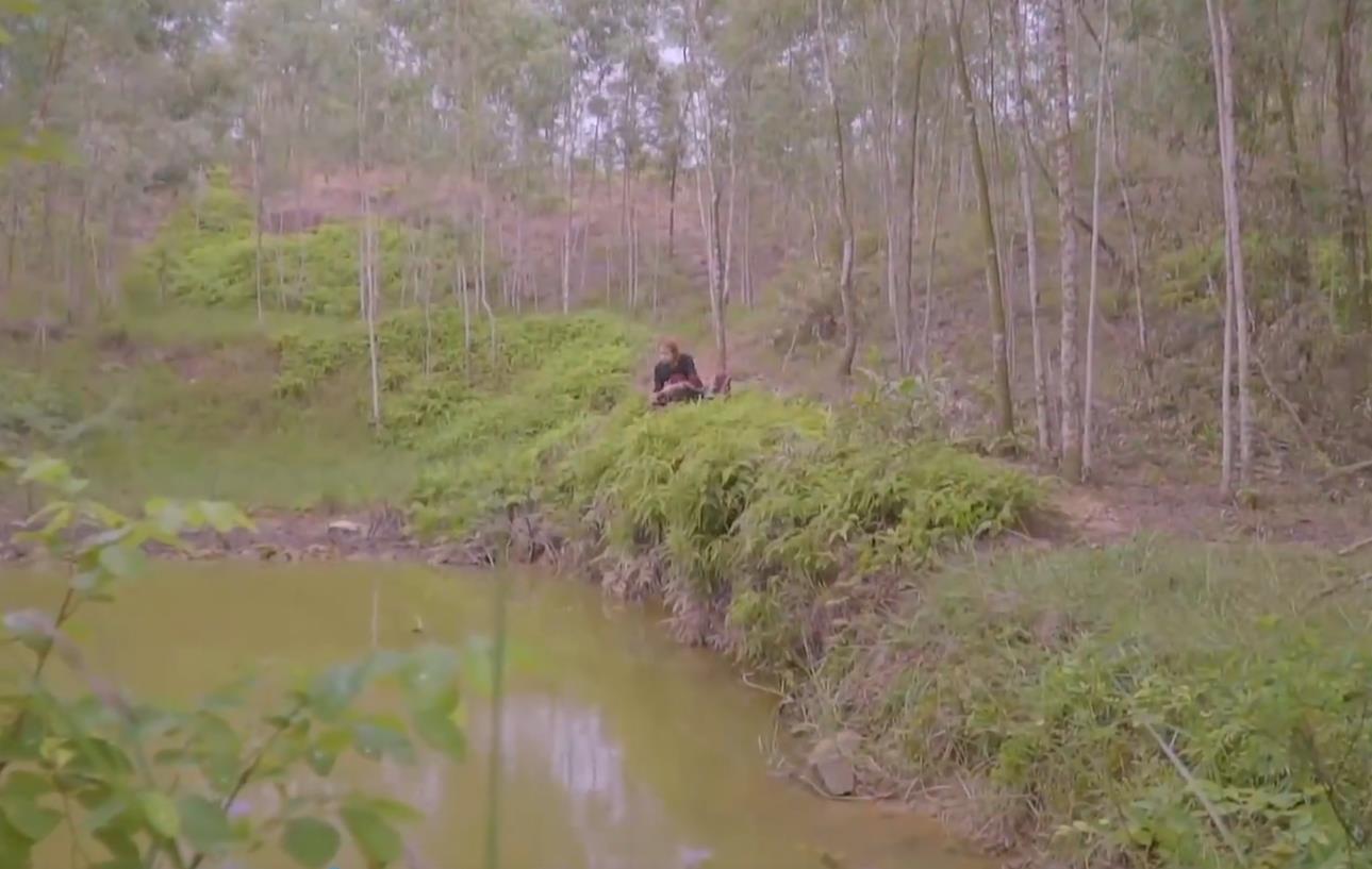 漂亮的野外烤鱼,野外吃美味烤鱼