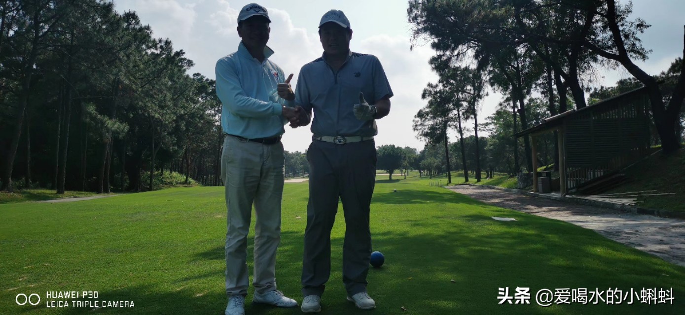 三分钟看懂高尔夫规则的视频,三分钟看懂高尔夫规则室内