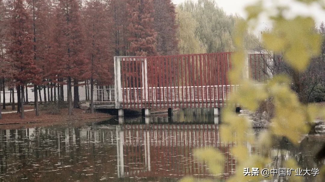 我不要我觉得我要你觉得,我不要我觉得我要你觉得是什么梗