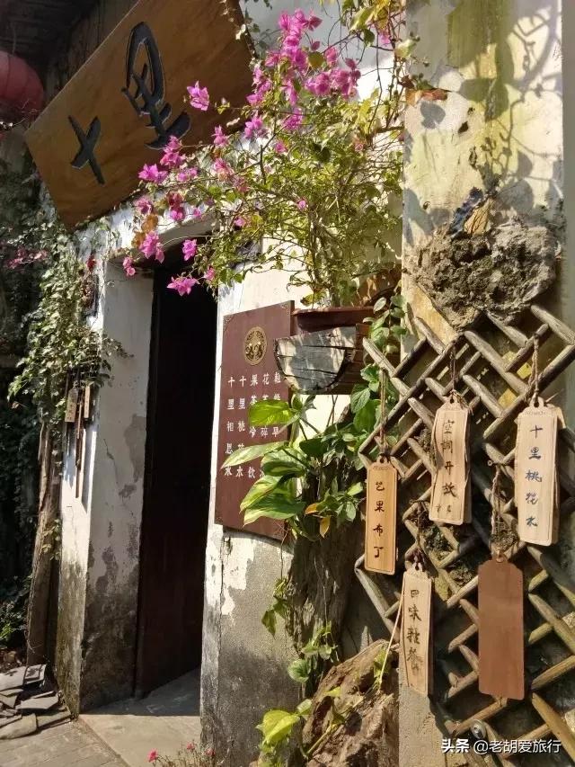 深圳不可错过的游玩地方,2022早春深圳踏青好去处