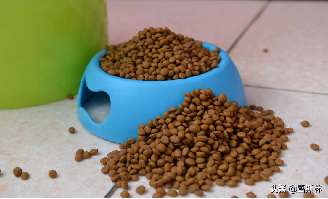 暴雪起诉游戏,暴雪起诉网易网易赢了没有