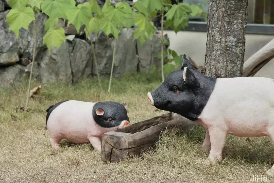 四个集装箱别墅民宿小院,5个40尺集装箱改造别墅图片