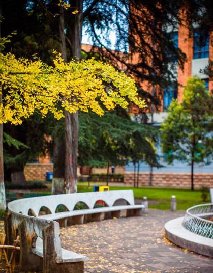 昆明适合拍照的景点有哪些,昆明大理周边旅游景点排名榜前十