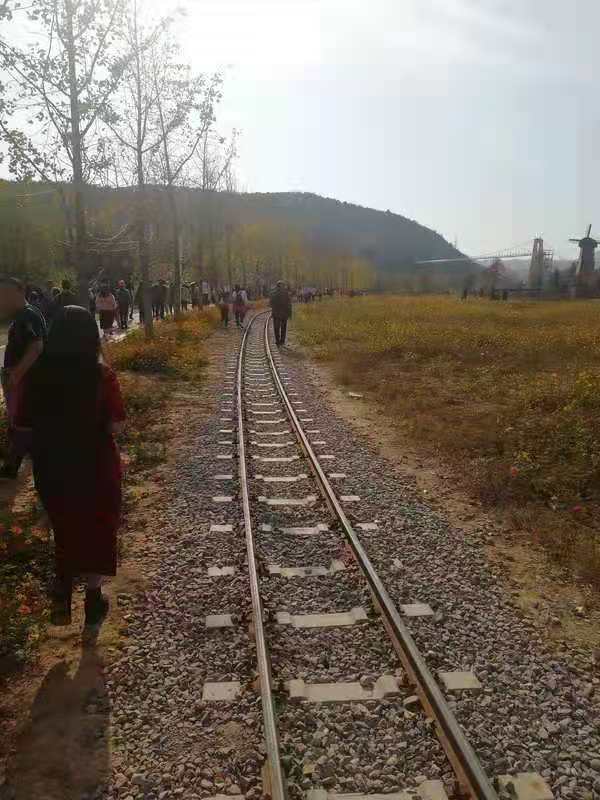 星空露营附近,星空露营地烧烤