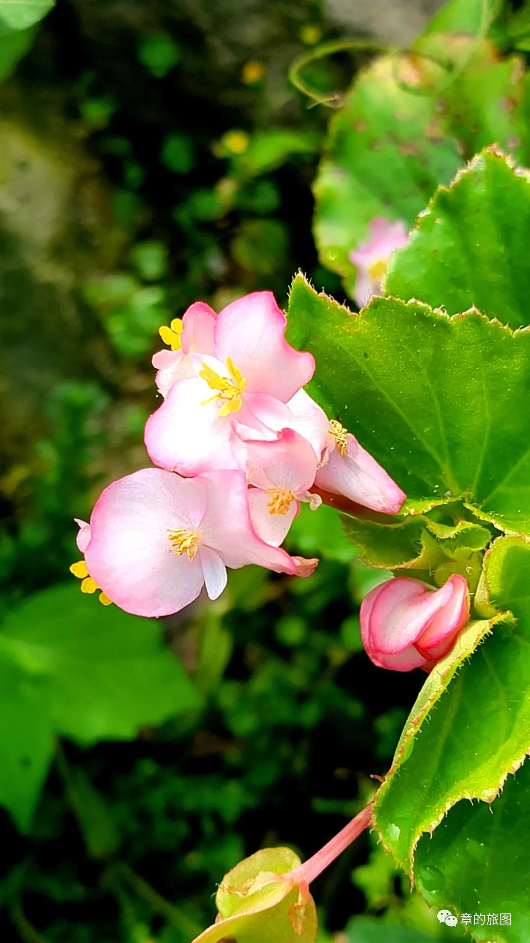安溪野狼谷风景区,安溪野狼谷徒步