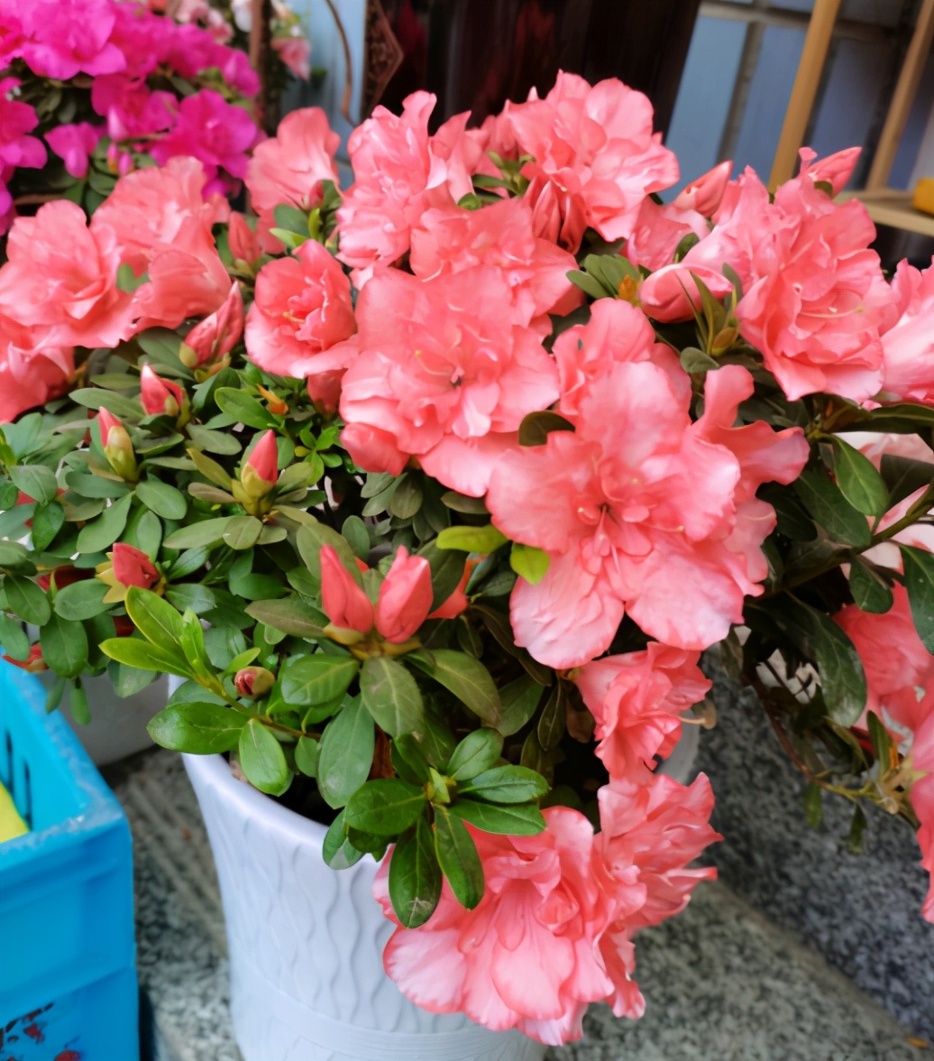 神仙水是不是智商税网红爆款,神仙水是不是智商税