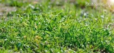 一段美好感情,一段美好的情感