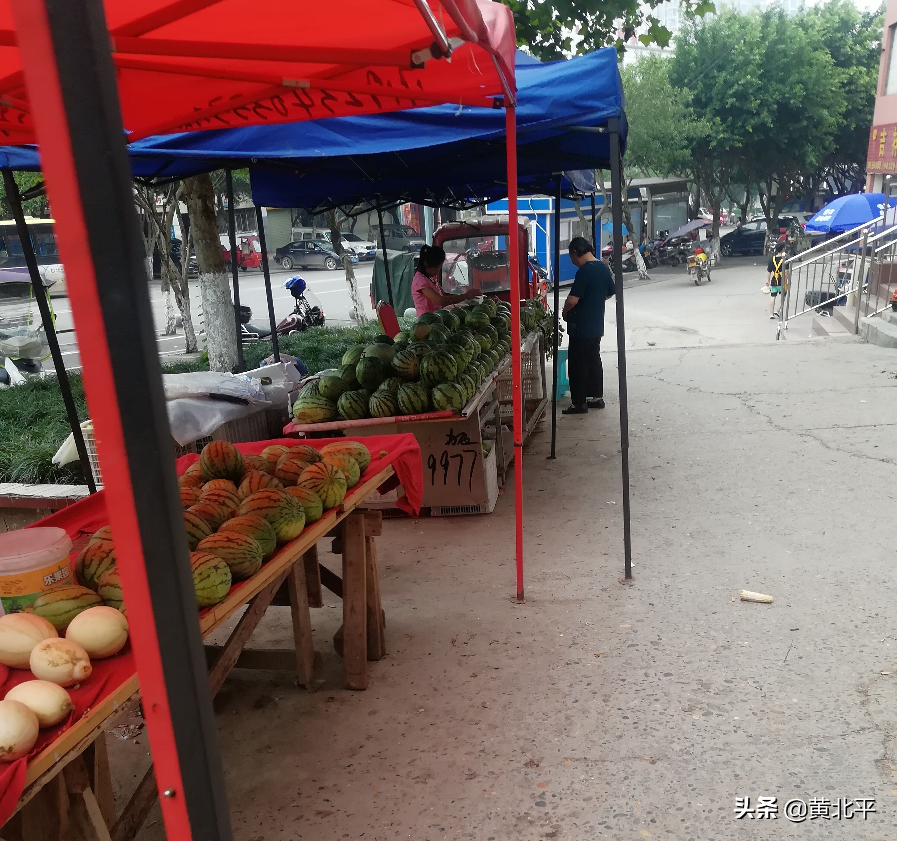 重庆市潼南区视频,重庆市潼南区房价