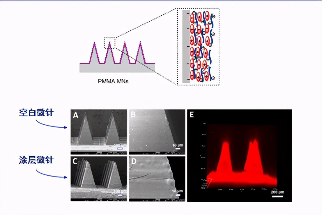 18项国家自然科学基金优秀成果在京对接
