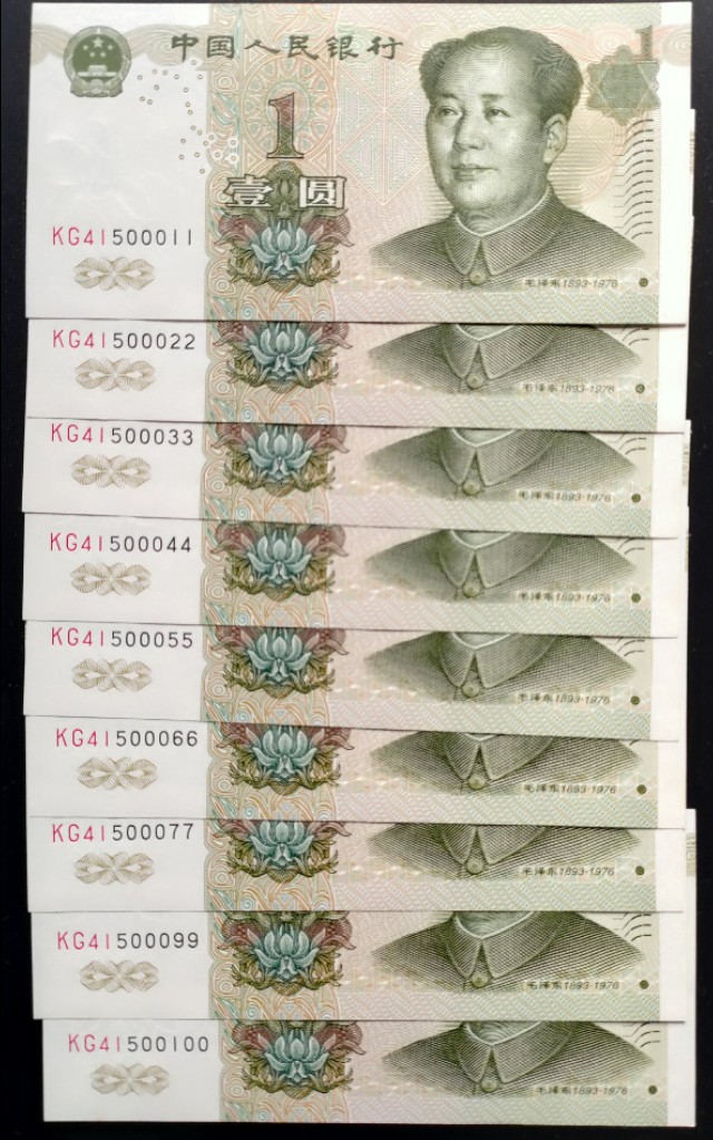 991大叶兰的闪光点