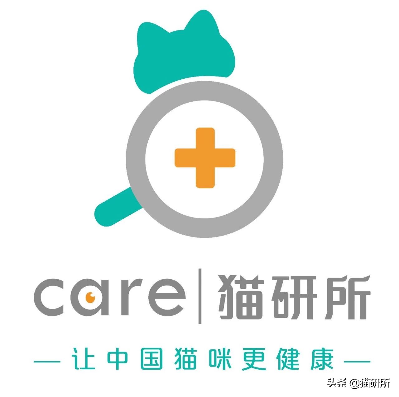 喵星人得了猫癣怎么办,宠物冷知识猫咪得了猫癣该怎么办