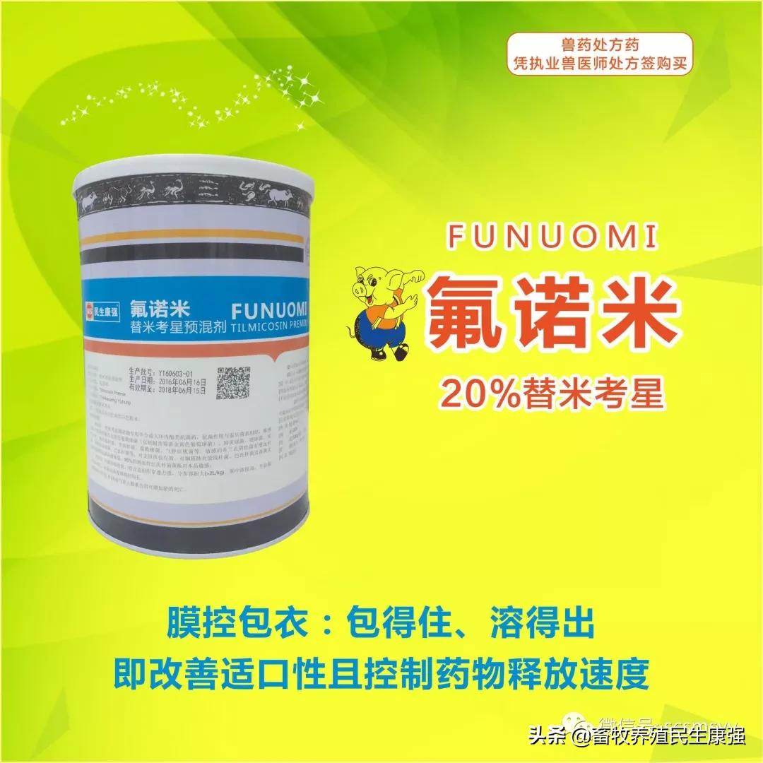 猪蓝耳圆环副猪混合感染,猪蓝耳混合感染母猪症状